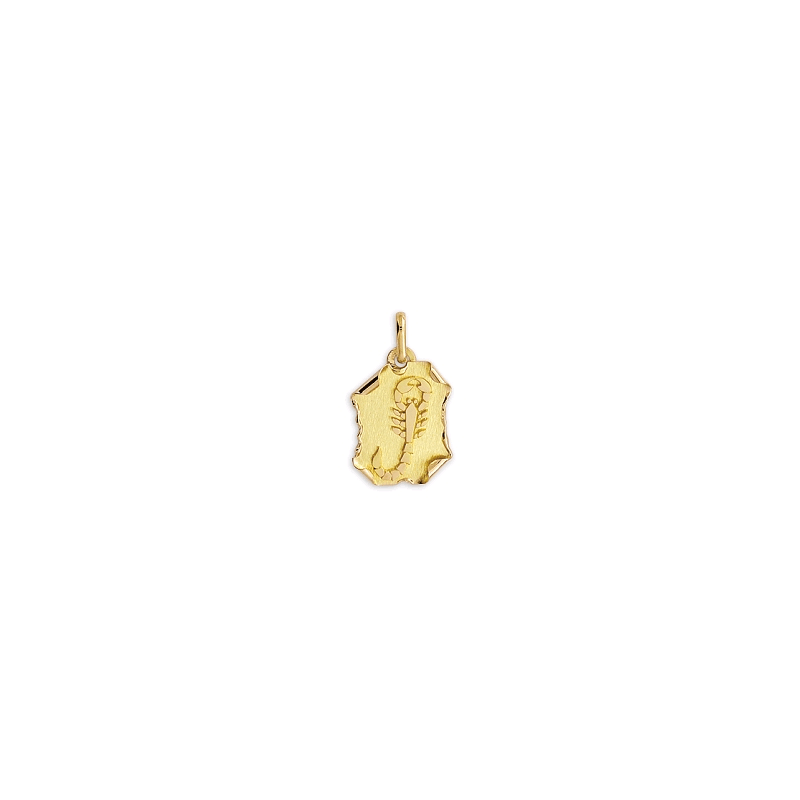 Pendentif scorpion parchemin Or 9 carats jaune - Bijouterie La Peti...
