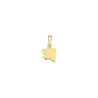 Pendentif carte Bretagne historique   – Or 18 carats jaune, gris ou rose – Atelier 1924 - Patrimoine Vivant Français  - 18 MM 