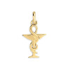 Pendentif caducée pharmacien  – Or 18 carats jaune ou gris – Artisanat français depuis 1954