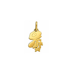 Pendentif idéogramme chinois cancer Or 9 carats jaune - Bijouterie ...