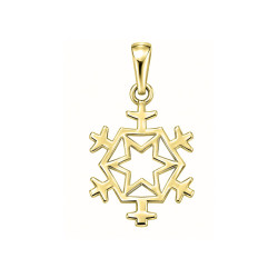Pendentif flocon de neige - Or 9 carats jaune ou gris - Atelier 1924 - Patrimoine Vivant Français 