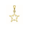 Pendentif Étoile d’hiver - Or 18 carats jaune, gris ou rose – Atelier 1924 - Patrimoine Vivant Français Couleur Or:Gris