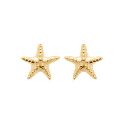 Boucles d'oreilles Etoile de mer  plaqué or  - Bijouterie La Petite Française